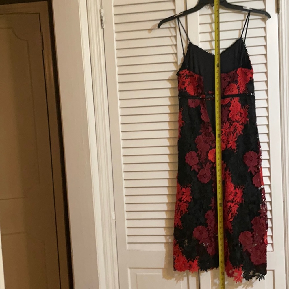 Multicolor beautiful Bebe dress